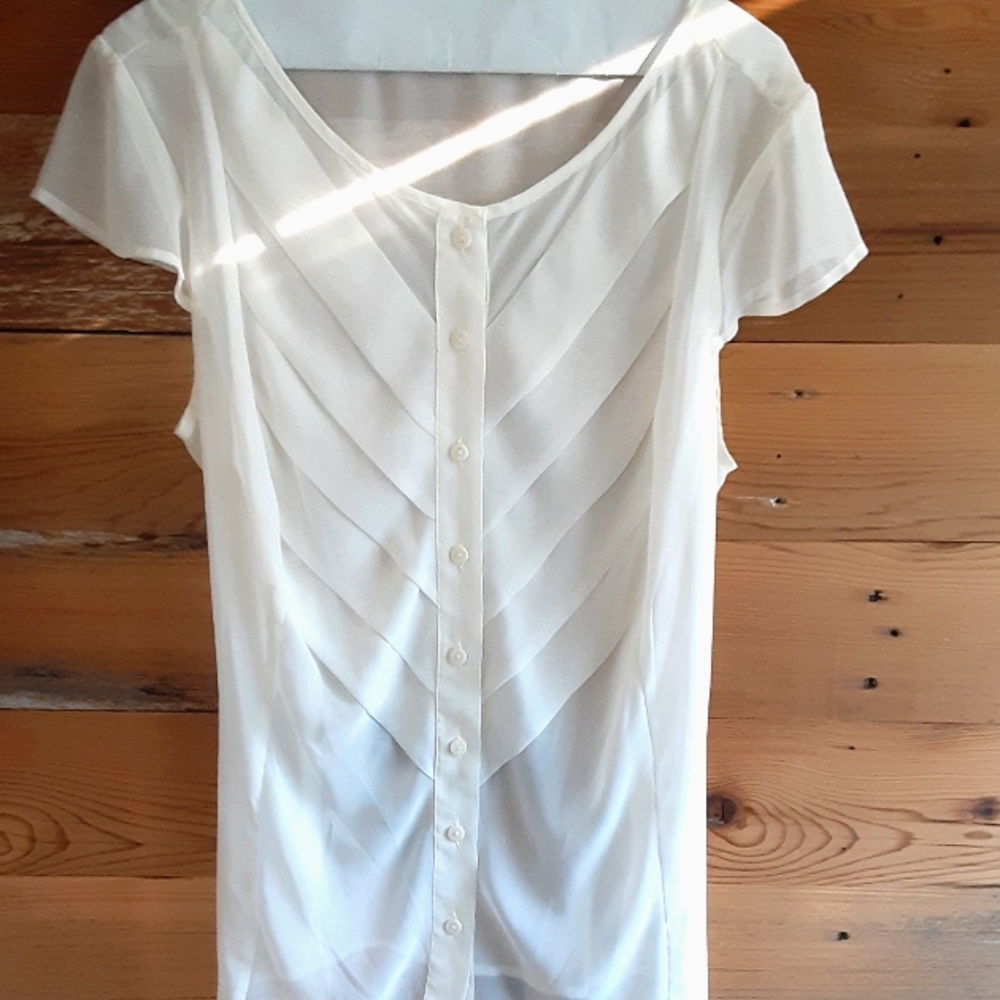 FINAL 3/18 Free East 5th sheer pleated front blouse/camisole flutter sleeves